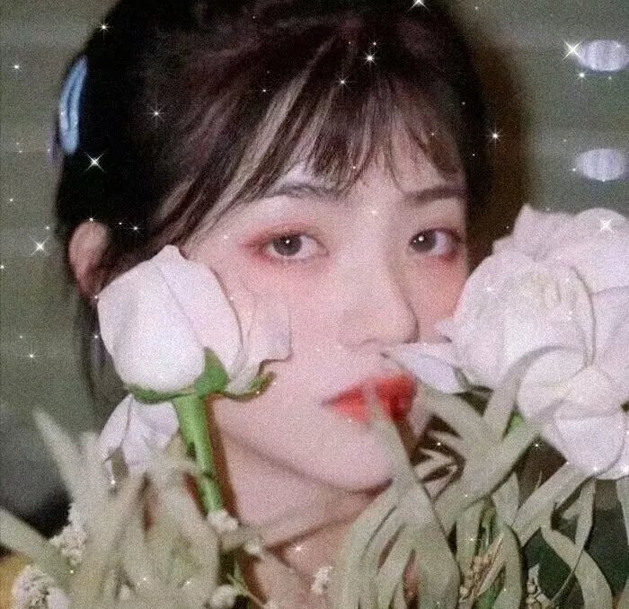 疯狂兔宝宝