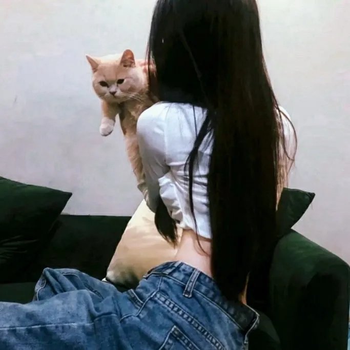 吸血姬美夕